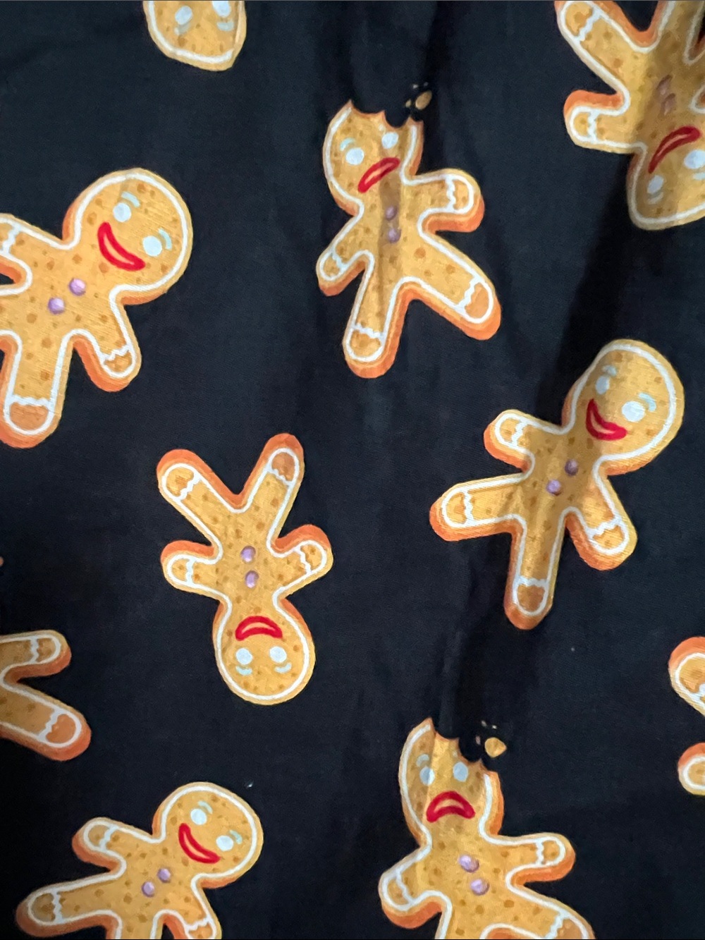 American Eagle Outfitters | Black Shorts with Gingerbread NWT Print Sz S (29-31) - Picture 4 of 16